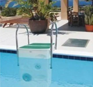 Swimming Pool Pipeless Filter exporter